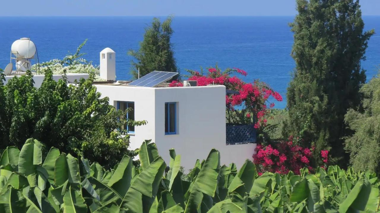 Banana Sunset Villas Пафос Экстерьер фото