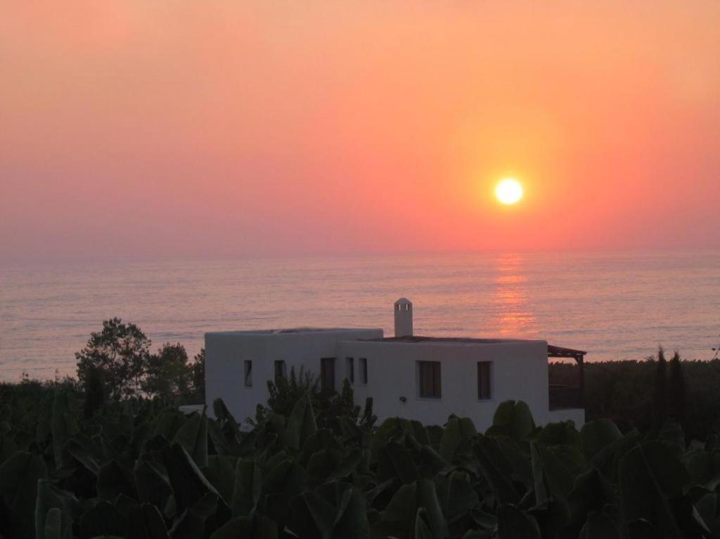 Banana Sunset Villas Пафос Экстерьер фото